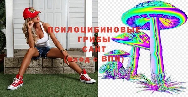 PSILOCYBIN Дмитров