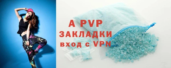 гашик Дмитриев