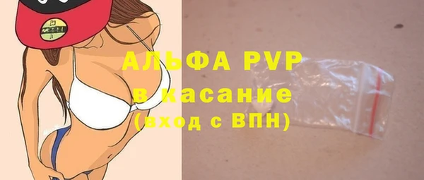 гашик Дмитриев