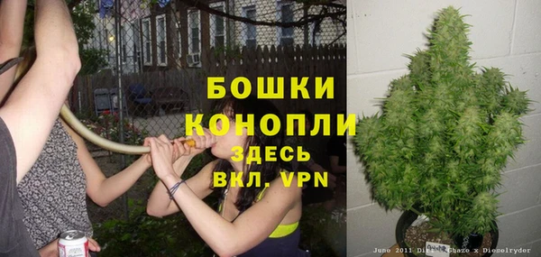 не бодяженный Гусев