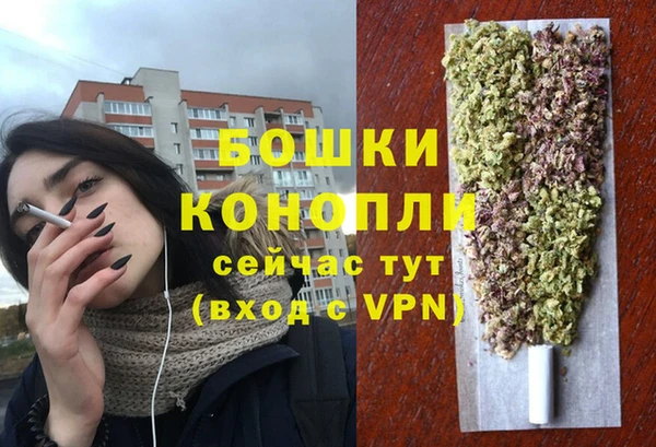 не бодяженный Гусев