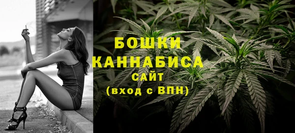 не бодяженный Гусев