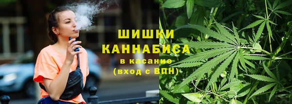 не бодяженный Гусев