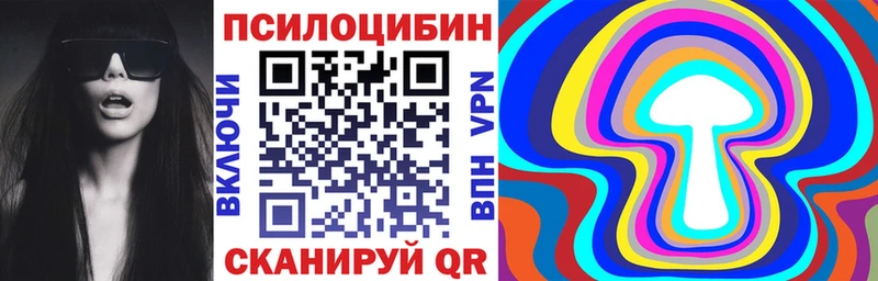 Галлюциногенные грибы Psilocybe  Купить закладки  Арзамас 